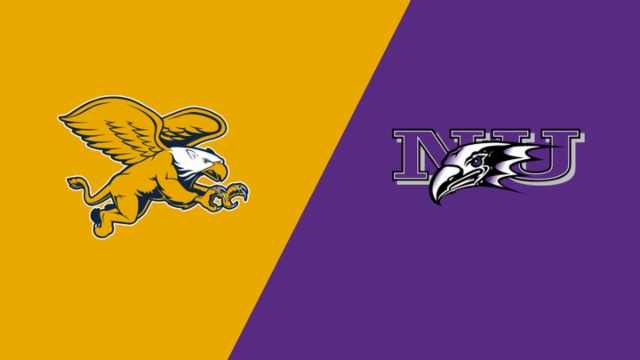 的氛围注入 的氛围注入