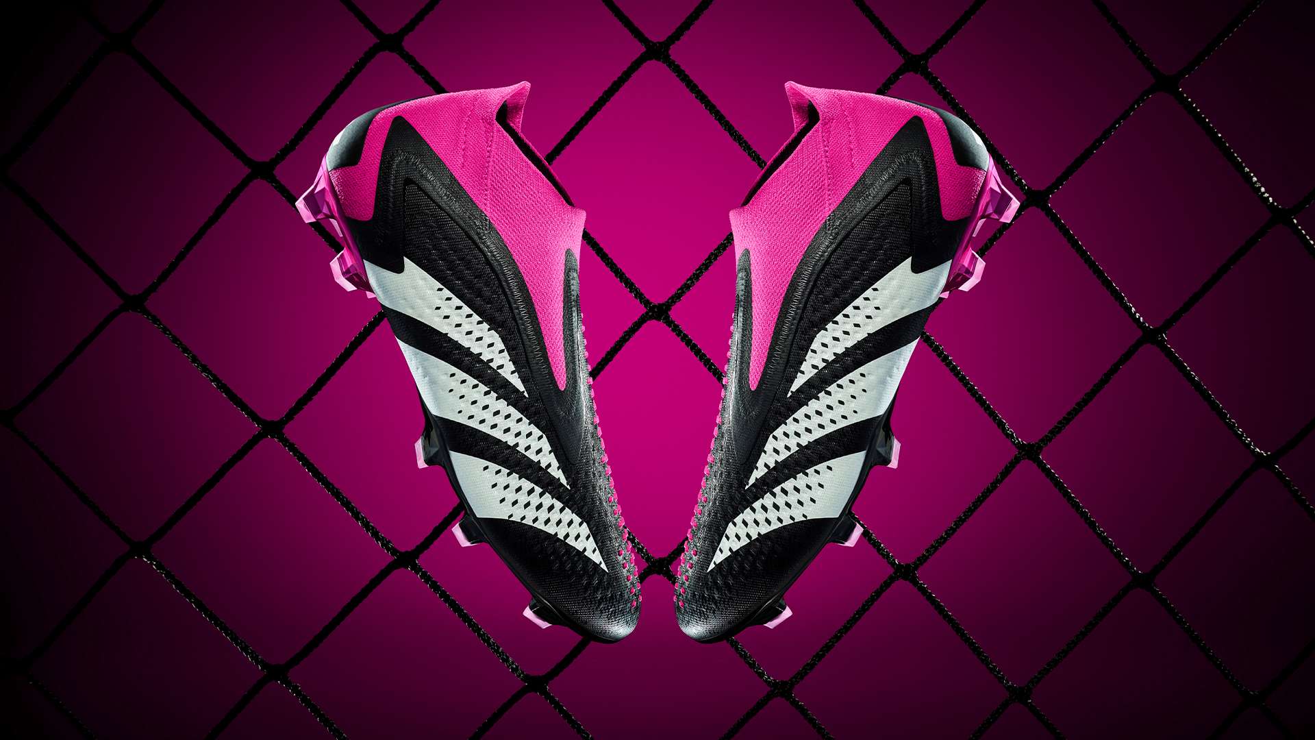 了新的活力 了新的活力