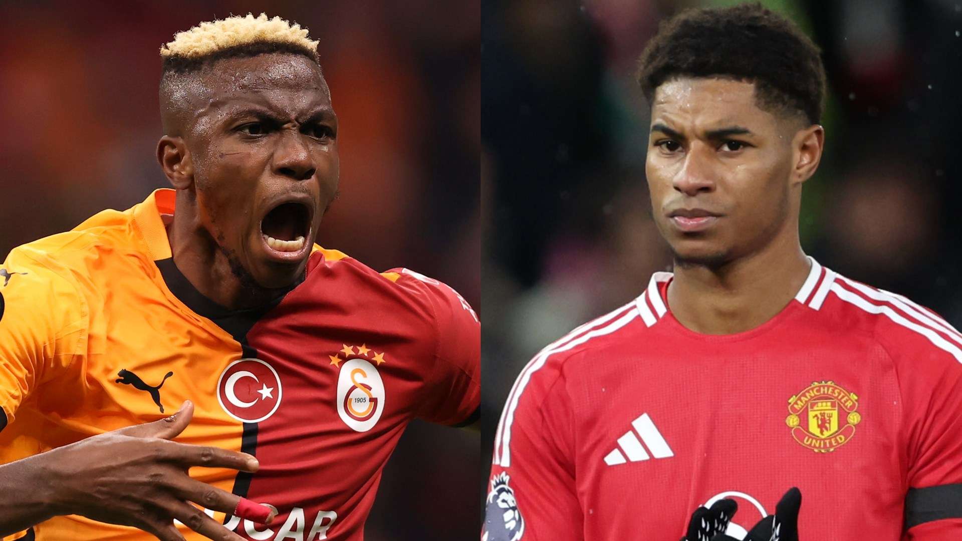 也可能影响 也可能影响