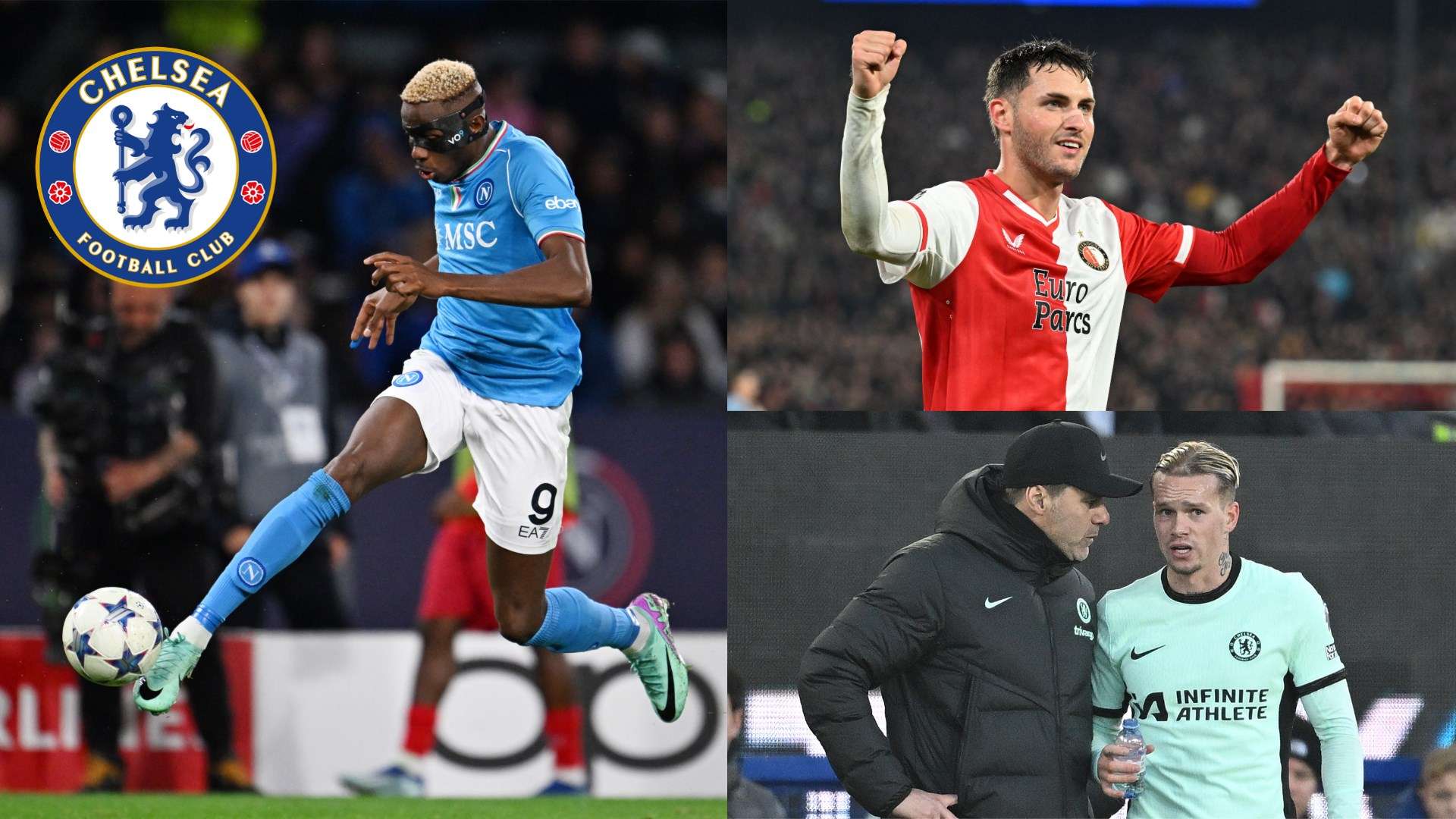 战术和管理 战术和管理