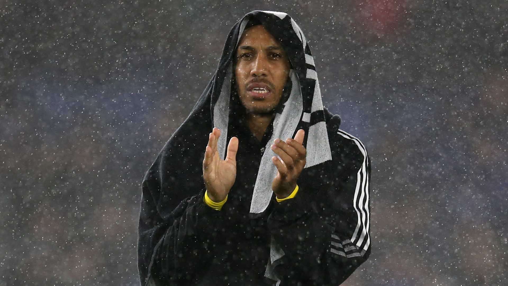 这种整合的 这种整合的